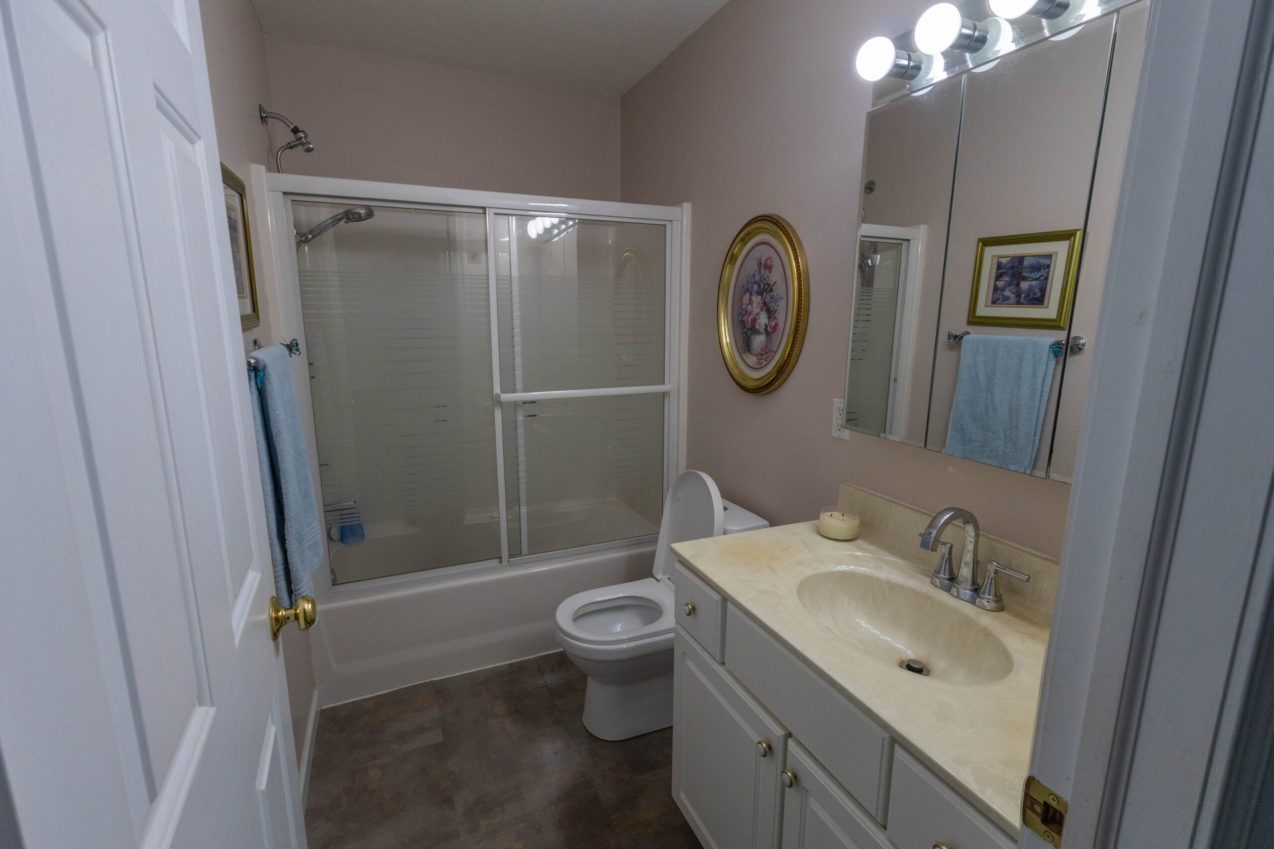 528 Meadowbrook Road - Bathroom